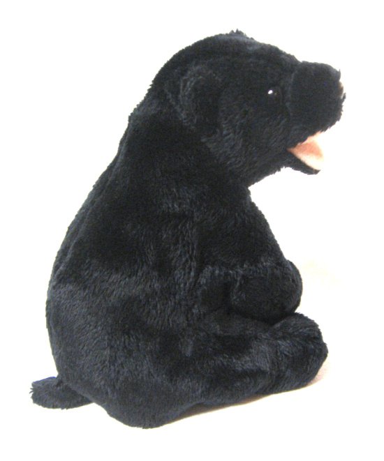 Cinders The Black Bear Ty Beanie Baby Retired 2001