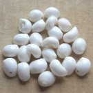 24 Large White Natural Seashell Beads Loose Jewelry Making Supplies Vintage