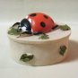 Ladybug Trinket Box Unique Design 2 Pc. Jewelry