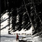 Iditarod XXIV 1996 VHS Video Narrated By Hal Holbrook Documentary Alaska Dog Sled Race