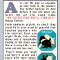 The Cutest Pigs You'll Ever See Deluxe Edition VHS Video Documentary NEW