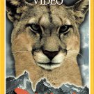 National Geographic Puma Lion of The Andes Documentary VHS Video NEW