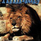 The Wonderful World of Animals The Hunter And The Hunted Documentary VHS Video NEW