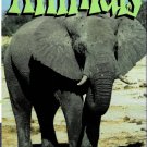 The Wonderful World of Animals Bizarre Weird Animal Oddities Documentary VHS Video NEW