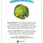Starting Needlecraft By Ray Gibson Usborne First Skills For Ages 5 & Up Paperback Book