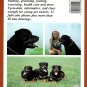 Rottweilers A Complete Pet Owner's Manual By Kerry V. Kern Paperback Book