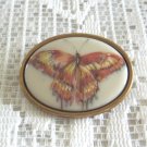 Porcelain Butterfly Cameo Brooch Pin Vintage Jewelry 1960s