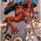 MARVEL KNIGHTS SPIDER-MAN #6