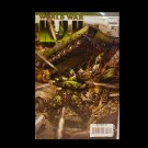 WORLD WAR HULK #3 NM