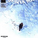 AMAZING SPIDER-MAN #556 NM (2008) BRAND NEW DAY