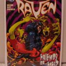 DC SPECIAL RAVEN #3 NM (2008)