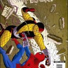 AMAZING SPIDER-MAN #579 NM (2008)
