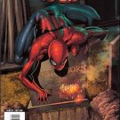 AMAZING SPIDER-MAN #581 NM (2009)