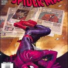 AMAZING SPIDER-MAN #588 NM (2009)