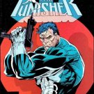 PUNISHER ANNUAL #5 VF/NM