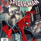 TIMESTORM 2009 - 2099 SPIDER-MAN #1 NM (2009)