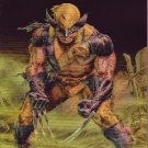 WOLVERINE ORIGINS #37 NM (2009)