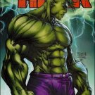 HULK #7 NM (2009)  VARIANT