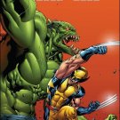 TIMESTORM 2009 - 2099 #3 NM (2009)
