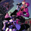 PUNISHER ANNUAL #1 VF/NM (2009)