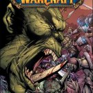 WORLD OF WARCRAFT #1 NM (2010)
