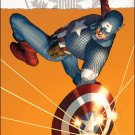 THE MARVELS PROJECT #6 NM (2010) COVER A