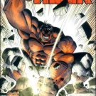 HULK #8 SAL BUSCEMA COVER VARIANT NM (2008)