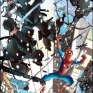 MARVEL ADVENTURES SPIDER-MAN #2 NM (2010)