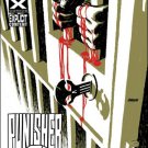 PUNISHERMAX #12 NM (2011) EXPLICIT CONTENT