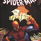 Amazing Spider-Man #674 NM (2011)