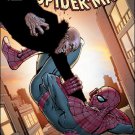 Amazing Spider-Man #675 NM (2011)
