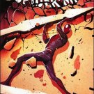 Amazing Spider-Man #679 NM (2012)