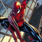 Amazing Spider-Man (2014) #1 J.Scott Campbell connecting cover variant and #1 standard copy Amazing Spider-Man (2014) #1 J.Scott Campbell connecting cover variant and #1 standard copy