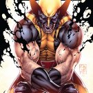 Savage Wolverine 19 [2013] VF/NM *Marvel Now*