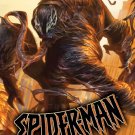 100th Anniversary Special Spider-man #1 B cover (2014) VF/NM 100th Anniversary Special Spider-man #1 B cover (2014) VF/NM