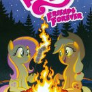 My Little Pony: Friends Forever #3 Tony Fleecs Subscription Variant Cover [2016] VF/NM IDW Comics