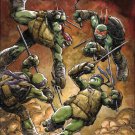 Teenage Mutant Ninja Turtles #60 [2016] VF/NM IDW Comics