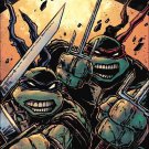 Teenage Mutant Ninja Turtles #60 [2016] Kevin Eastman Subscription Cover VF/NM IDW Comics