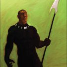Punisher #4 Chip Zdarsky Black Panther 50th Anniversary Variant Cover [2016] VF/NM Marvel Comics
