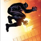 Astonishing Ant-Man #11 Tonci Zonjic Black Panther Variant Cover [2016] VF/NM Marvel Comics