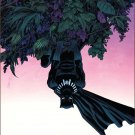 Spider-Man #7 Declan Shalvey Black Panther Variant Cover [2016] VF/NM Marvel Comics