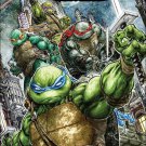 Teenage Mutant Ninja Turtles Universe #1 [2016] VF/NM IDW Comics