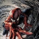 Peter Parker: The Spectacular Spider-Man #1 Mike Deodato Jr Party Cover [2017] VF/NM Marvel Comics