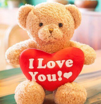 JIA 2019 Valentine Gift - Cuddly Bear Plush Toy with Red Heart