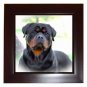 Customize Promotional Framed Tile Custom - Promote your business here