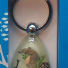 Keychain- Sea Horse Glow in the Dark