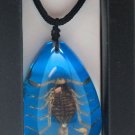 Necklace- Scorpion on Blue Background