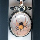 Necklace- Spiny Spider in Metal Setting