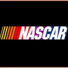 Free Shipping: NASCAR Logo Enamel Italian 9mm Charm