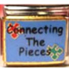 Free Shipping: Autism Connecting The Pieces Puzzle Enamel Italian 9mm Charm